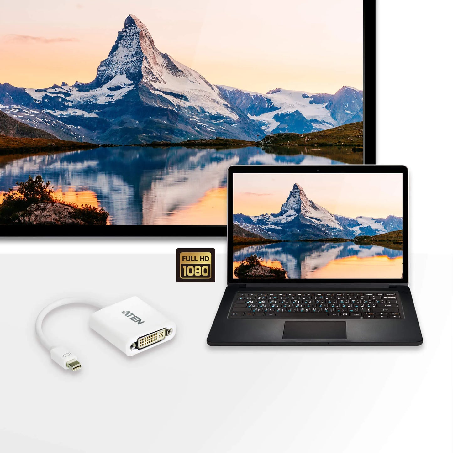 ATEN Mini DisplayPort to DVI Adapter