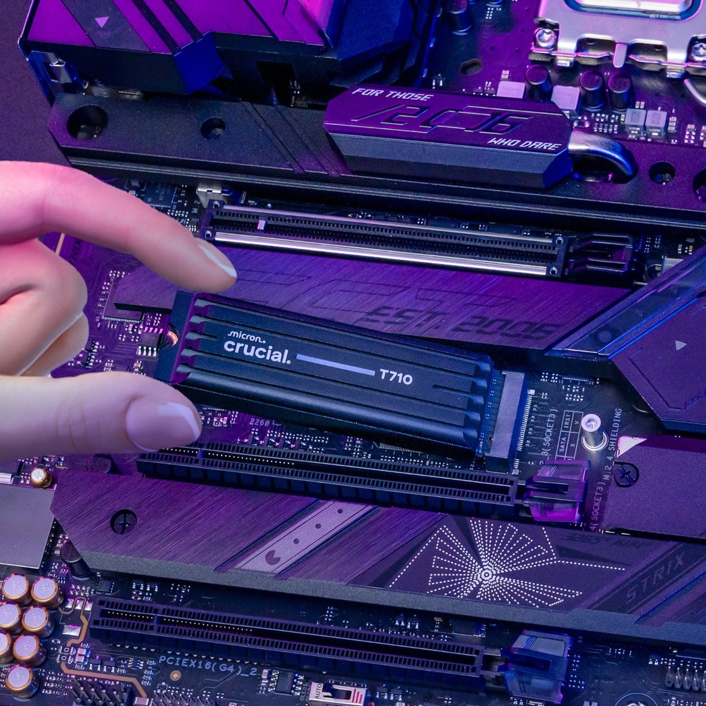 Crucial T710 2TB M.2 NVMe Gen5 NAND SSD with Heatsink