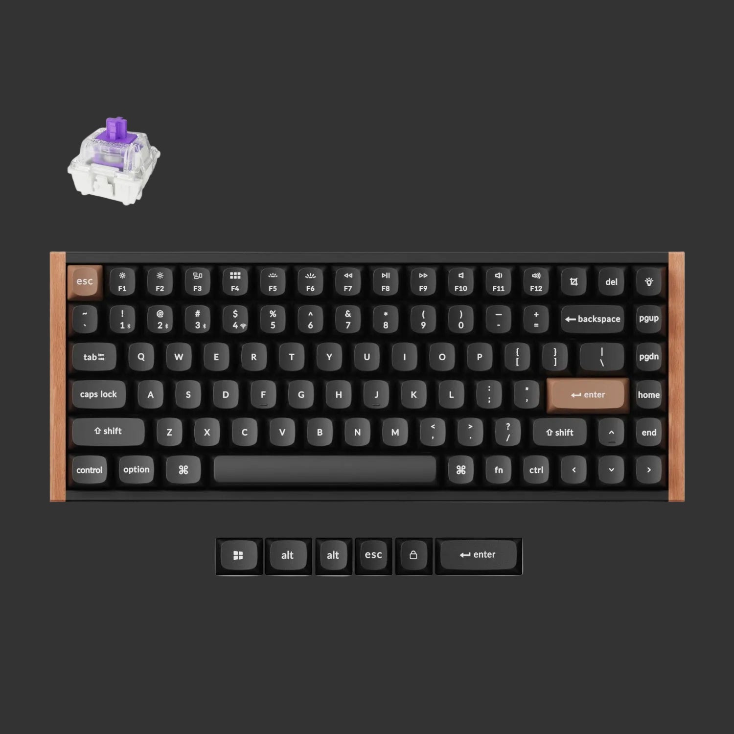 Keychron K2 HE Wireless Special Edition Magnetic Custom Keyboard | NEBULA Switch – Black